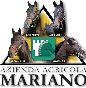 logo_hp_2018